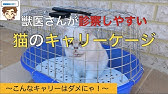 キャリーの入れ方 嫌がる猫もこれですんなり 誰でも簡単にできるコツを獣医師が紹介します おすすめキャリーもご紹介 Youtube キャリーの入れ方 嫌がる猫もこれですんなり 誰でも簡単にできるコツを獣医師が紹介します おすすめキャリーもご紹介 Youtube