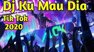 Dj Terbaru 2020  Ku Mau Dia - Andmesh