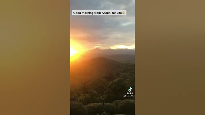 Good morning sunshine  Asanai for Life Retreat in ...