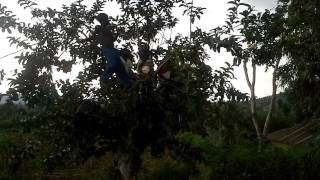 268 OURO VILLAGE KIDS TREE CHOIR KENYA
