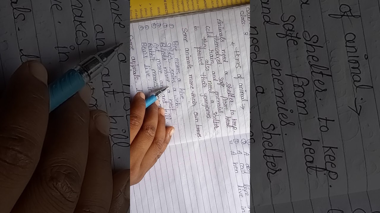 Homes of animal - YouTube