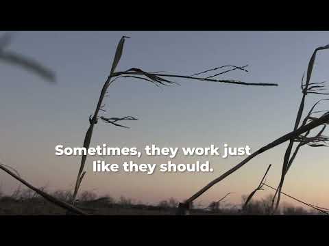 Illinois Duck Season 2024-25: Will YOU Be Ready For THIS?