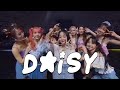 Kep1er 케플러 'DAISY' Live Clip Kep1er JAPAN CONCERT TOUR 2023