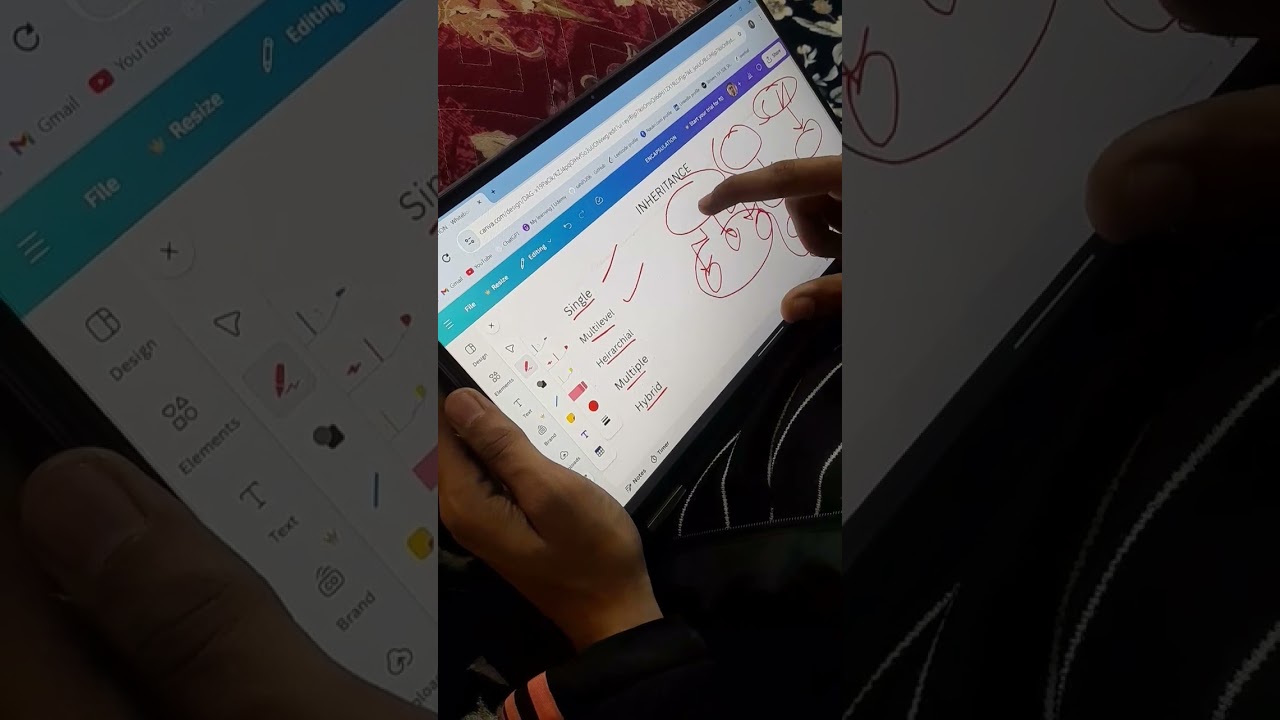 Day 37 - Inheritance in Oops 