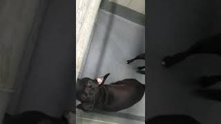 acs A587095
