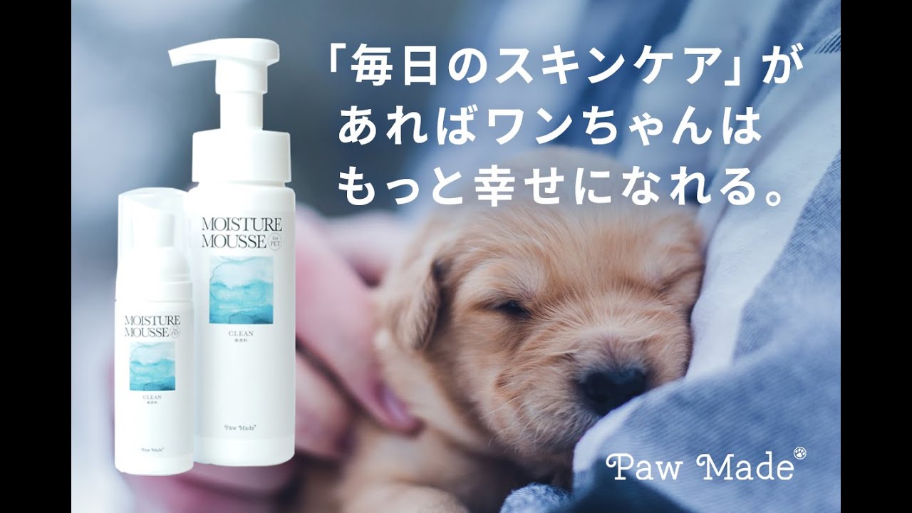 犬用スキンケア商品の選び方とは？トリマーのおすすめスキンケア商品7 