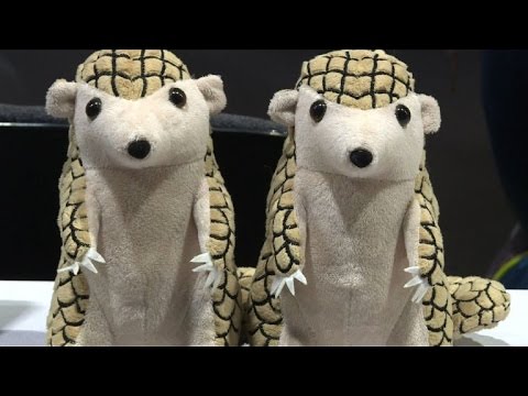 CITES: Du répit pour les pangolins menacés par le braconnage CITES: Du répit pour les pangolins menacés par le braconnage