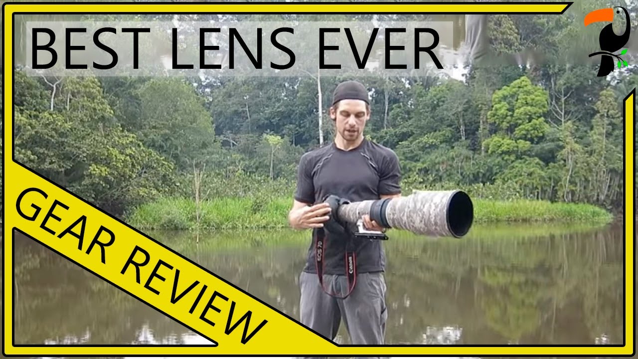 Photography Equipment The Best Wildlife Lens Ever Canon 600mm F 4 L photography-equipment-the-best-wildlife-lens-ever-canon-600mm-f-4-l