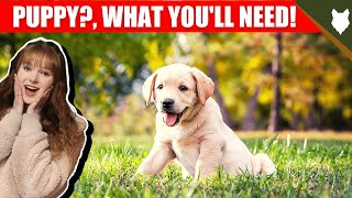 THINGS YOU'LL NEED FOR YOUR LABRADOR PUPPY