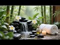 Relaxing Music for Sleep, Focus & Healing | Calming Nature & Meditation Sounds for Mind Clarity, BGM
