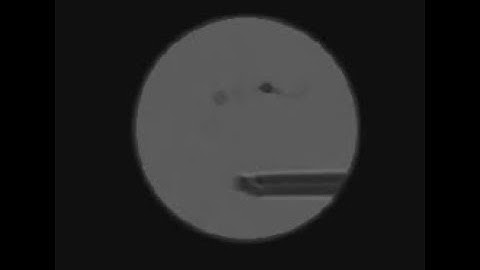 Sperm Tracking Mask Image LabVIEW 2012