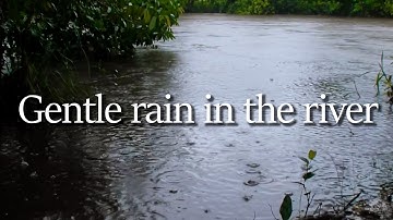 Het geluid van regen langs de rivier op een regenachtige dag, slaapliedjes uit de natuur