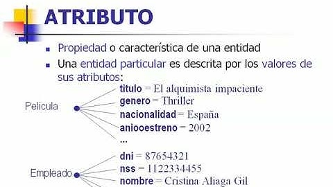 MER Entidades y atributos