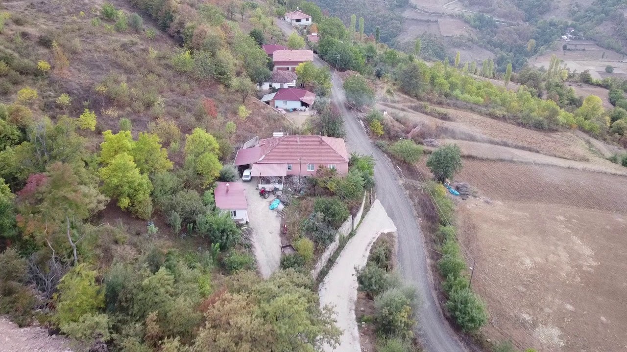 AMASYA - TAŞOVA - ARDIÇÖNÜ KÖYÜ - GELEMÜÇ MAHALLESİ