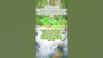 إن الذين قالوا ربنا الله من سورة فصلت اية 30 Fussilat Suresi #القرآن_الكريم #عبدالباسط_عبدالصمد