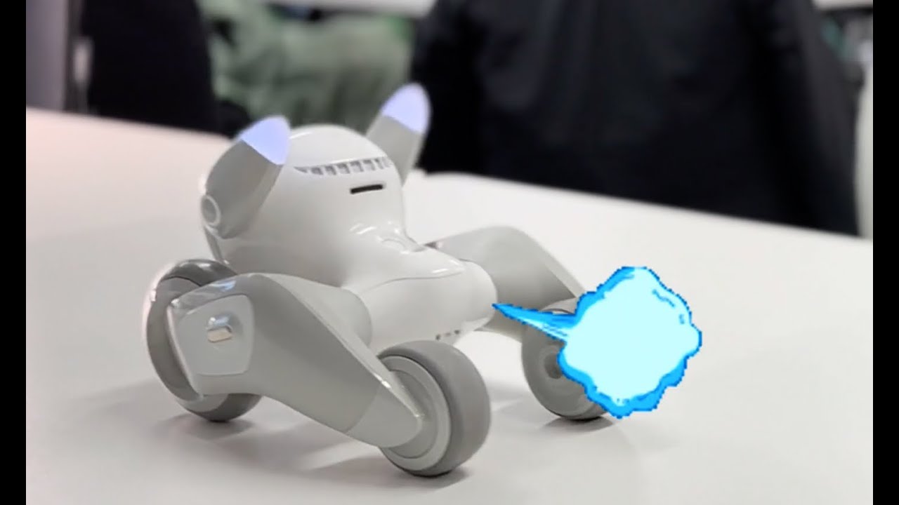 Buy Loona Robot - Intelligent AI Petbot with Emotions