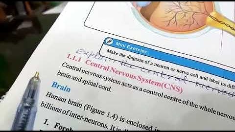 General Science Class 8th Lecture#3 (Chp#1)