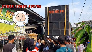 Singa depok lagu Domba Kuring ❗Singa depok dangdut