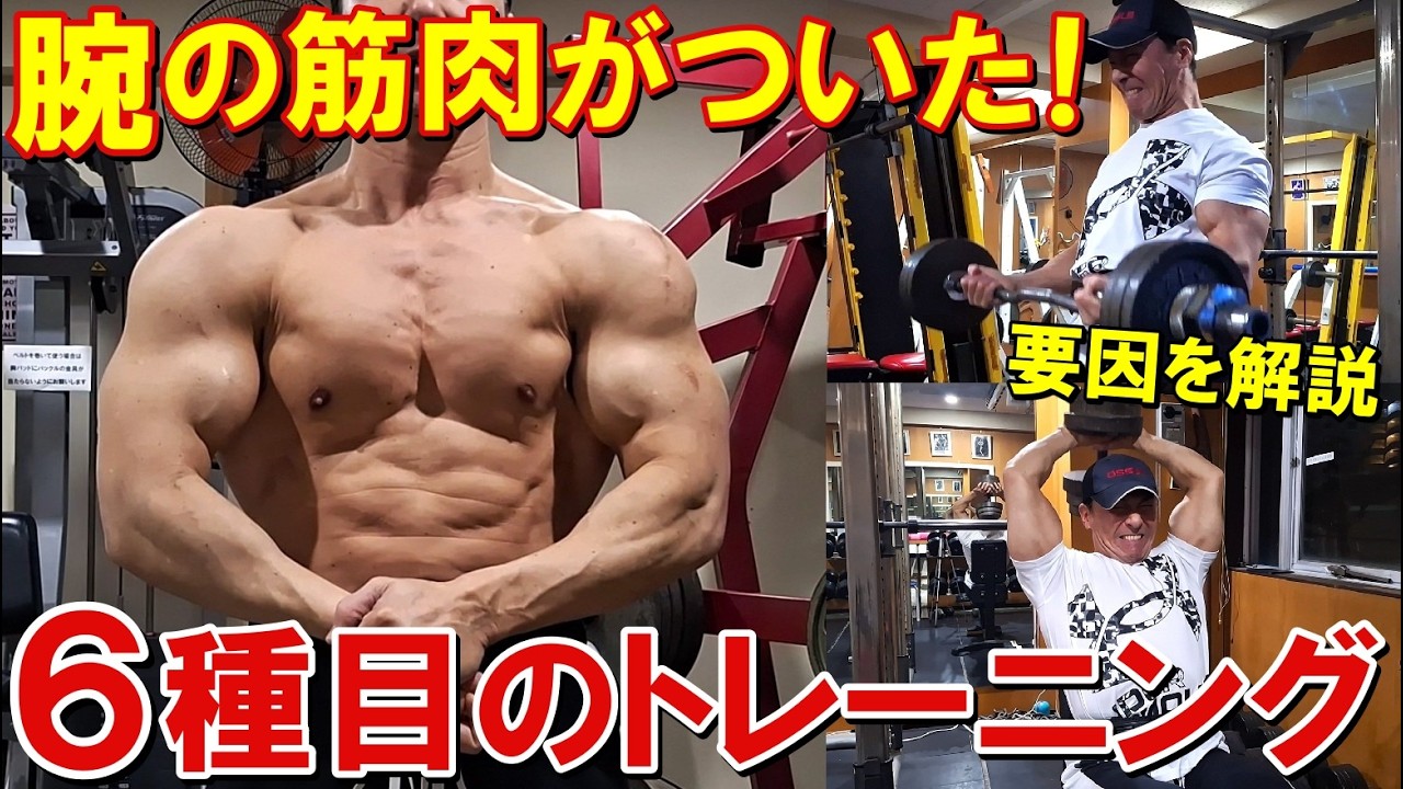 【筋トレ】腕のバルクアップに効果があった要因を解説！6種目で二頭筋と三頭筋を鍛える増量末期のトレーニング