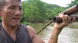 VIDEO Fishing flood season : Wild Fishing, Catch Many Fish, Use Fishing Nets Catch Many Fish