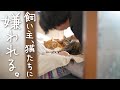 猫団子に顔を埋めてみたら・・・ショックです。