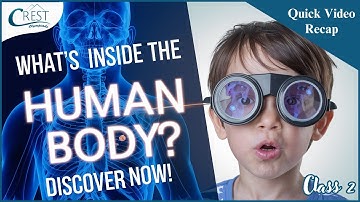 Parts of the Human Body | Class 2 Science Olympiad Preparation