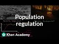 Population Regulation Quiz