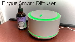 Birgus Smart Diffuser - Unboxing and Test screenshot 3