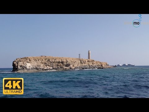 Video: ABZ Ist Eine Reise Unter Dem Meer