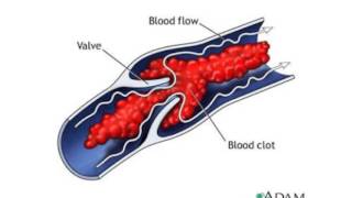Science Wrap: 15 October 2015