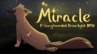 Miracle A Storyboarded Briarlight Amv