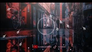 DJ despacito viral TikTok 2024