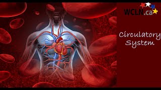 WCLN - Types of Blood Vessels - Biology