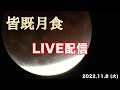 【LIVE】皆既月食ライブ配信(2022年11月8日)【高知県から】