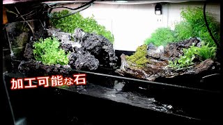 アクアテラリウム　溶岩石　no.10 メダカ水槽】切断可能な溶岩石で！アクアテラリウム【メダカ立ち上げ#4