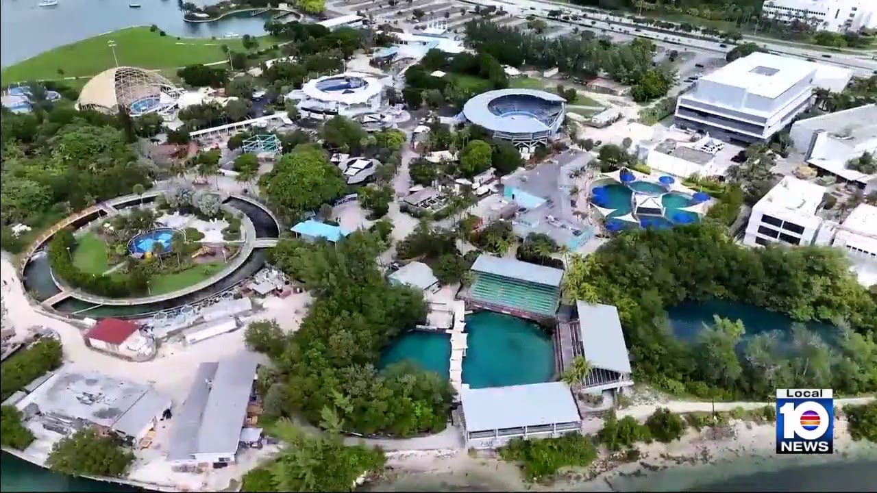 ‘Good riddance’: Activists mark Miami Seaquarium’s last day, but some visitors sad to see it go