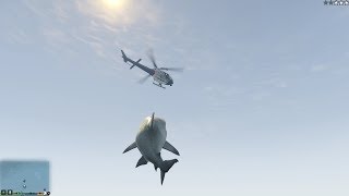 GTA 5  Shark script mod (Maneater/Jaws Unleashed inspired)