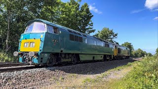 50007 HERCULES D1015 WESTERN CHAMPION 02/06/24