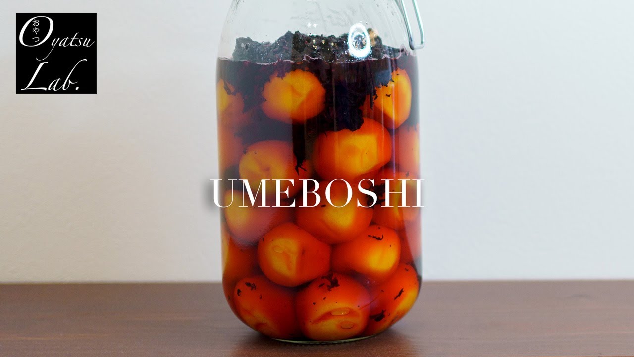 Japanese tradition] Pickled Plum (UMEBOSHI) Recipe | Oyatsu Lab