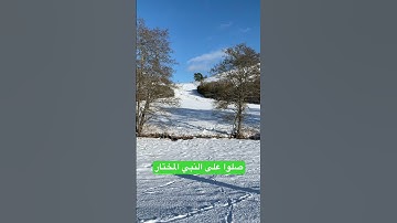 💝قران كريم 💝 #اكسبلور #المصحف #دويتو #الرحمن #duet #تيك_توك #ترند #راحة_نفسية #لايك #في