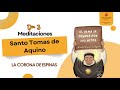 MEDITACIONES Cuaresma Dia 3 | La Corona de espinas - Santo Tomas de Aquino