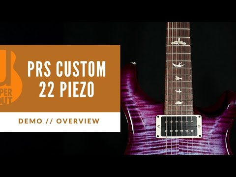 Custom Piezo Crazy! | PRS Custom 22 Piezo Overview