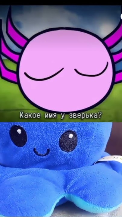 Кініто пет #kinitopet #meme #funny #idk - YouTube