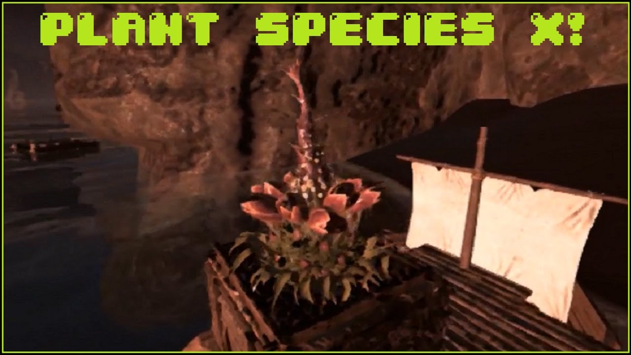 Plant Species X - Survival Wiki