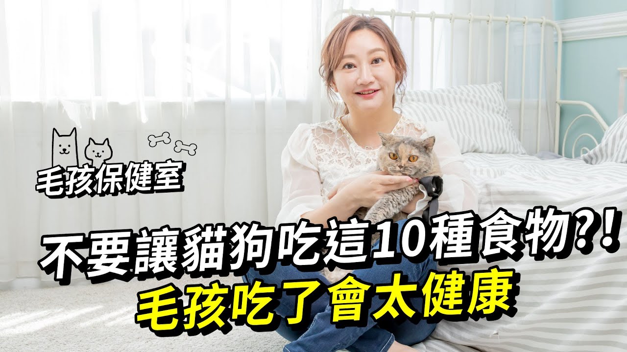 【毛孩保健室】不要讓貓狗吃這10種食物！毛孩吃了會太健康 縮圖