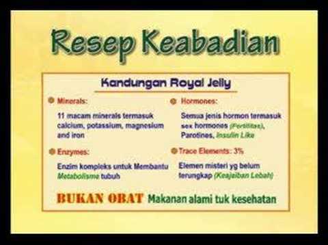 Nutrend Royal Jelly