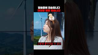 에너지도 각자도생의 시대