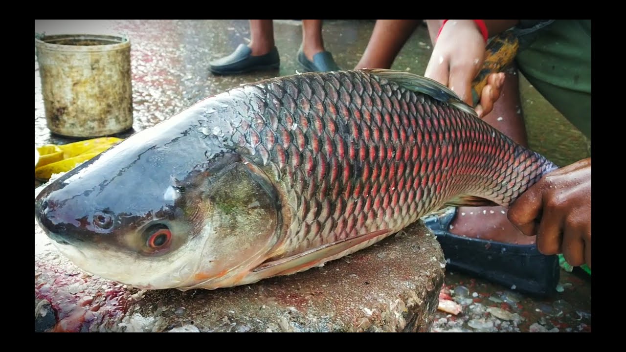 Rui Fish Cutting🐟Fish Cutting Skills In Bangladesh🐟Best Fish Fillet Skills