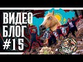 ВИДЕО БЛОГ #15 | ALMATY TATTOO UNITED 2023