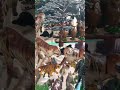 Britians Lead Zoological Gardens